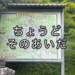 花はなかったけれど、これもまた「豊かな日」と言えよう