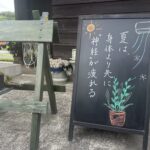 夏は、身体より先に「神経」が疲れる