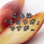 筋肉の中にある「２つの受容器」の関係性