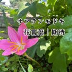 今ある「２つ」で、思いきって動き出してみる