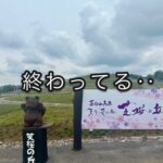 父とのドライブデート、気づけばおかかえ運転手？