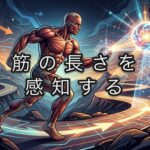 柔軟性って、ただ「伸びること」だけじゃないんです