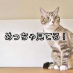 「がんばって見る」をやめると身体はもっと動き出す