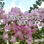 この子を残すか、この子を待つか。