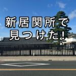新居の関所あたりを、ぶらぶらと