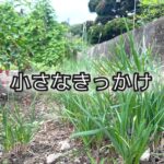 「ニラが育ったから」ただ、それだけで餃子を作った