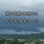 「雨雲、こっちに来てくれんかやあ～」
