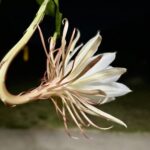 「わかった」の前に、もう少し見てみる