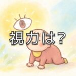 ８ヶ月のチビちゃんに教えてもらった「見る」ということ
