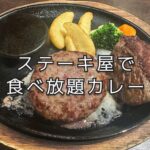 お肉を食べに行きながらカレーの美味さに気づいたとき