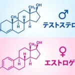 性ホルモンの男女の違いと、更年期以降のつき合い方