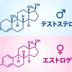 男性ホルモン 女性ホルモンの記号